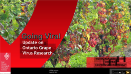 Update on Ontario Grape Virus Research Wendy Mcfadden-Smith OMAFRA CCOVI Research Affiliate