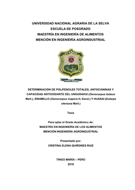 Universidad Nacional Agraria De La Selva Escuela De Posgrado Maestría En Ingeniería De Alimentos Mención En Ingeniería Agroindustrial