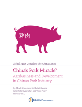 China's Pork Miracle?