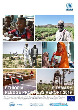 Ethiopia Summary Pledge Progress Report 2019