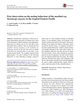 First Observation on the Mating Behaviour of the Marbled Ray, Taeniurops Meyeni, in the Tropical Eastern Pacific