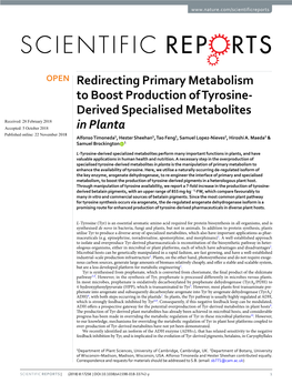 Redirecting Primary Metabolism to Boost Production of Tyrosine