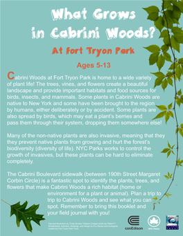 What Grows in Cabrini Woods Worksheet