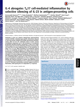 IL-4 Abrogates TH17 Cell-Mediated Inflammation by Selective Silencing of IL-23 in Antigen-Presenting Cells