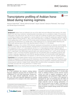 Transcriptome Profiling of Arabian Horse Blood During Training Regimens