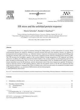 ER Stress and the Unfolded Protein Response