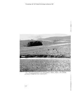 Malawi, Africa); Roan Antelope and Zebra in Foreground, Near a Natural Pond