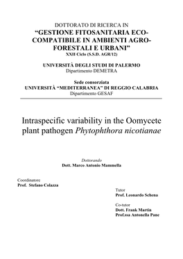 Phytophthora Nicotianae