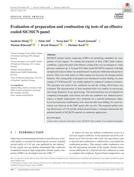 Evaluation of Preparation and Combustion Rig Tests of an Effusive Cooled Sic/Sicn Panel