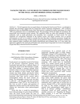 Tackling the 99%: Can We Begin to Understand the Paleoecology of the Small and Soft-Bodied Animal Majority?