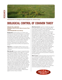 Biological Control of Common Tansy