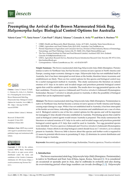 Preempting the Arrival of the Brown Marmorated Stink Bug, Halyomorpha Halys: Biological Control Options for Australia