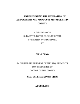 Understanding the Regulation of Adipogenesis and Adipocyte Metabolism in Obesity a Dissertation Submitted to the Faculty Of