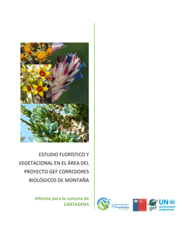 Estudio Florístico Y Vegetacional En El Área Del Proyecto Gef Corredores Biológicos De Montaña