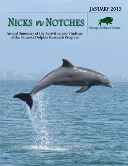 NICKS N NOTCHES Annual Summary of the Activities and Findings of the Sarasota Dolphin Research Program Chicago Zoological Society Mission Statement
