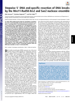 DNA End-Specific Resection of DNA Breaks by the Mre11-Rad50-Xrs2 and Sae2 Nuclease Ensemble