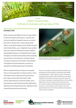 Exotic Invasive Ants a Threat to Business and Our Way of Life