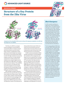 Structure of a Key Protein from the Zika Virus