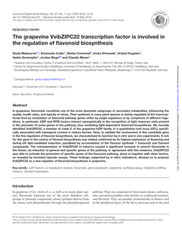 The Grapevine Vvibzipc22 Transcription Factor Is Involved in the Regulation of Flavonoid Biosynthesis