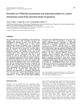 Activation of a PP2A-Like Phosphatase and Dephosphorylation of Τ Protein Characterize Onset of the Execution Phase of Apoptosis