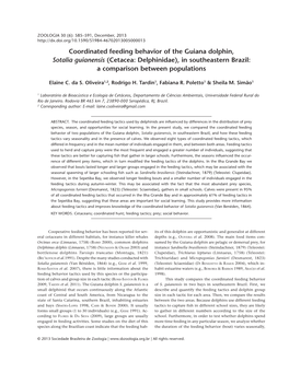 Coordinated Feeding Behavior of the Guiana Dolphin, Sotalia Guianensis (Cetacea: Delphinidae), in Southeastern Brazil: a Comparison Between Populations