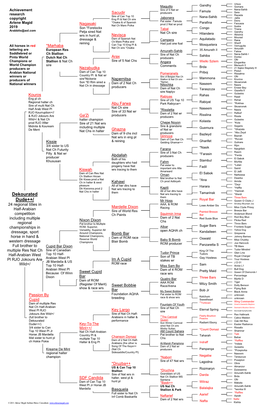 Dekourated Dude Pedigree Sample