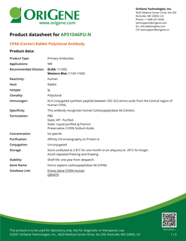 CPA6 (Center) Rabbit Polyclonal Antibody – AP51046PU-N | Origene