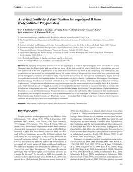 A Revised Family-Level Classification for Eupolypod II Ferns (Polypodiidae: Polypodiales)