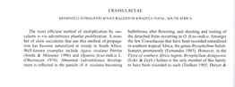 CRASSULACEAE the Most Efficient Method of Multiplication by Suc