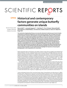 Historical and Contemporary Factors Generate Unique Butterfly