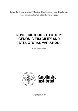 Novel Methods to Study Genomic Fragility and Structural Variation