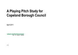 A Playing Pitch and Outdoor Sports Study