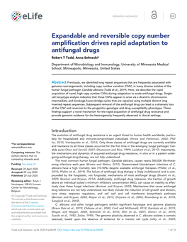 Expandable and Reversible Copy Number Amplification Drives Rapid Adaptation to Antifungal Drugs Robert T Todd, Anna Selmecki*