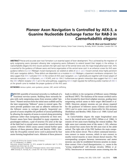 Pioneer Axon Navigation Is Controlled by AEX-3, a Guanine Nucleotide Exchange Factor for RAB-3 in Caenorhabditis Elegans