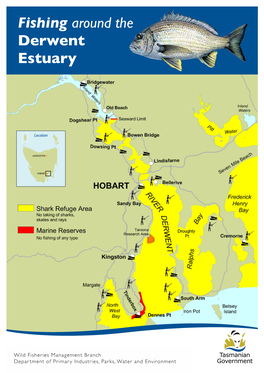 Fishing Around the Derwent Estuary