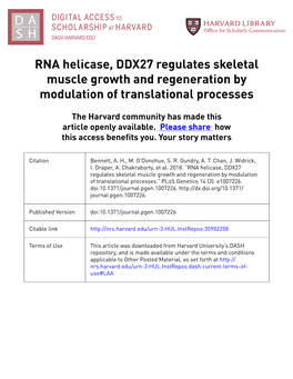 RNA Helicase, DDX27 Regulates Skeletal Muscle Growth and Regeneration by Modulation of Translational Processes
