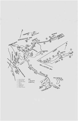 Birdobserver3.5 Page156-160 Birds of the Squantum and Wollaston Beach Area Edward J. Morrier.Pdf