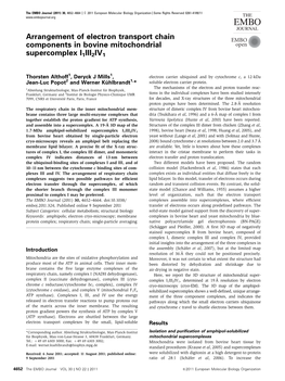 Arrangement of Electron Transport Chain Components in Bovine Mitochondrial Supercomplex I1III2IV1