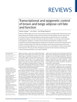 Transcriptional and Epigenetic Control of Brown and Beige Adipose Cell Fate and Function