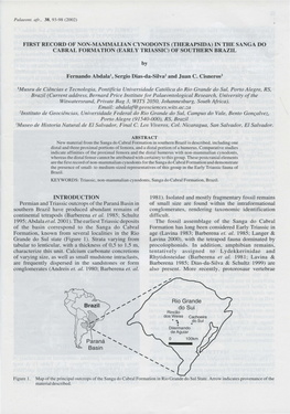 Early Triassic) of Southern Brazil