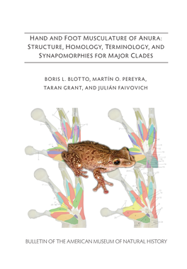 Hand and Foot Musculature of Anura: Structure, Homology, Terminology, and Synapomorphies for Major Clades