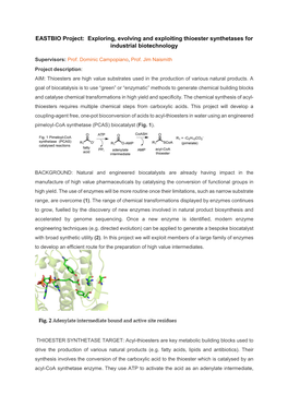 EASTBIO Project: Exploring, Evolving and Exploiting Thioester Synthetases for Industrial Biotechnology