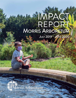 2020 Impact Report