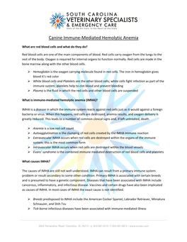 Canine Immune-Mediated Hemolytic Anemia