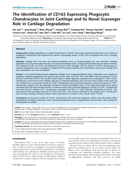 The Identification of CD163 Expressing Phagocytic Chondrocytes in Joint Cartilage and Its Novel Scavenger Role in Cartilage Degradation