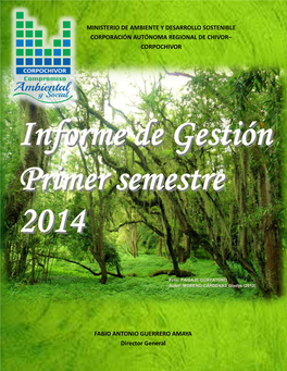 Informe De Gestión Primer Semestre 2014