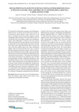 Developmental Plasticity of Human Foetal Femur-Derived Cells in Pellet Culture: Self Assembly of an Osteoid Shell Around a Cartilaginous Core