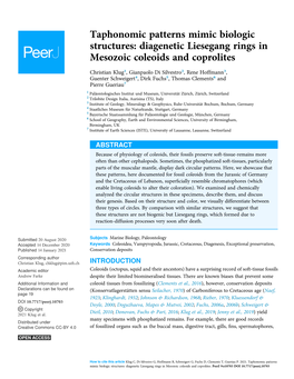 Diagenetic Liesegang Rings in Mesozoic Coleoids and Coprolites