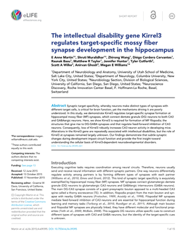 The Intellectual Disability Gene Kirrel3 Regulates Target-Specific Mossy Fiber