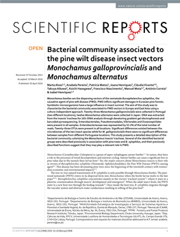 Bacterial Community Associated to the Pine Wilt Disease Insect Vectors